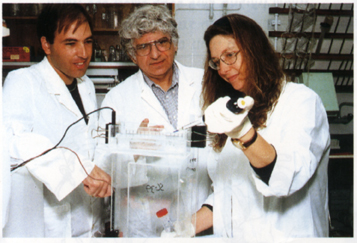 מימין לשמאל: ד"ר תמר פז-אליצור, פרופ' צבי ליבנה, ותלמיד המחקר יואב ברק. מערכת הגנה שנייה