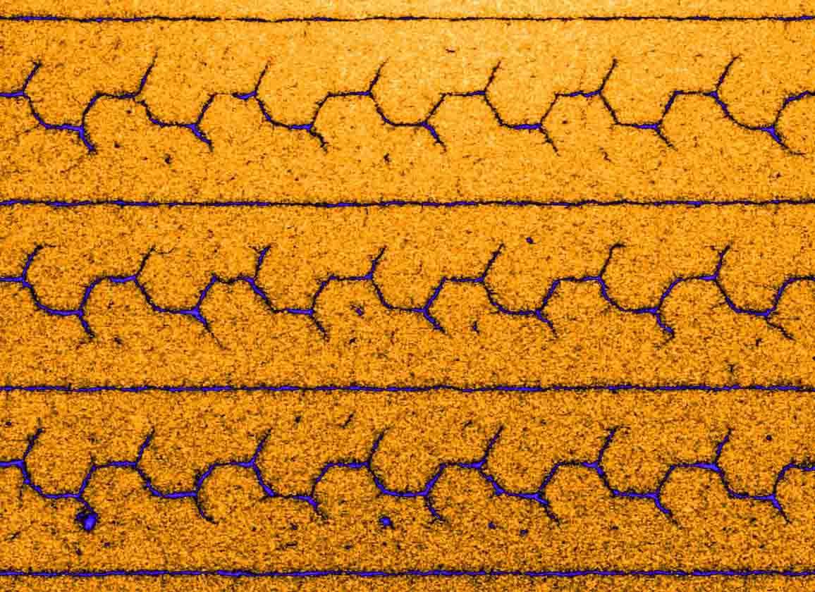 ננו-כבלים של די-אן-אי צמודים ומסודרים לאורך קווים חד-ממדיים