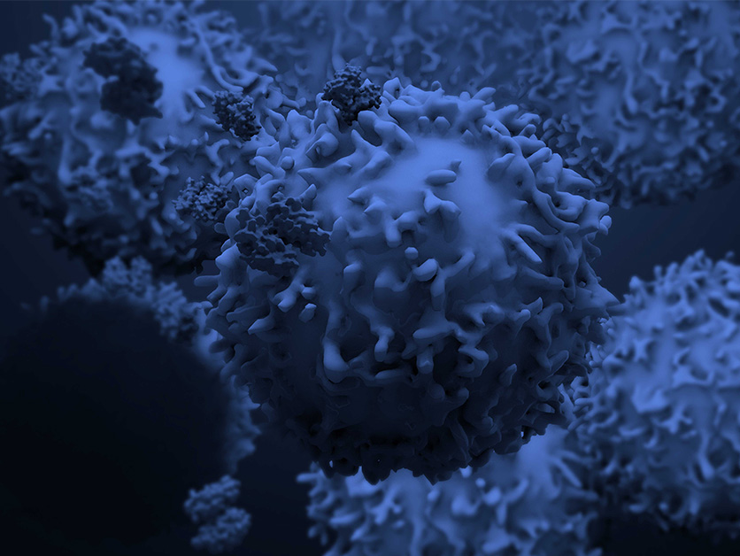 תאי T של המערכת החיסונית. הטיפולים האימונותרפיים מגייסים אותם נגד הגידולים הסרטניים. תמונה: גטי אימג'ס