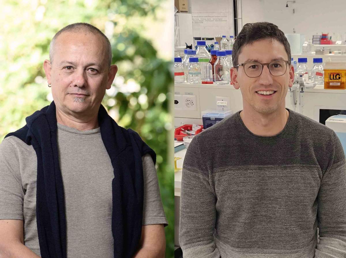 מימין: ד"ר פביאן פסיני ופרופ' אלעזר זלצר