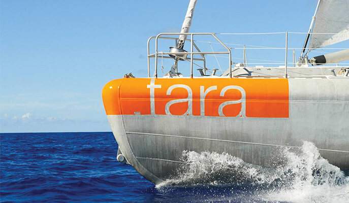 הספינה "טארה" בלב ים
