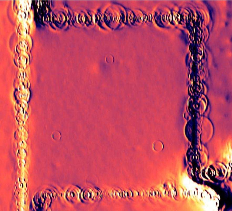 Heat measurement in graphene revealed unique rings . lab of Prof. Eli Zeldov 