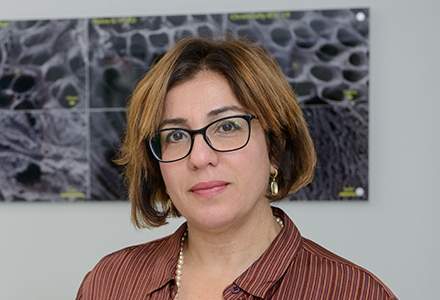 Prof. Irit Sagi 