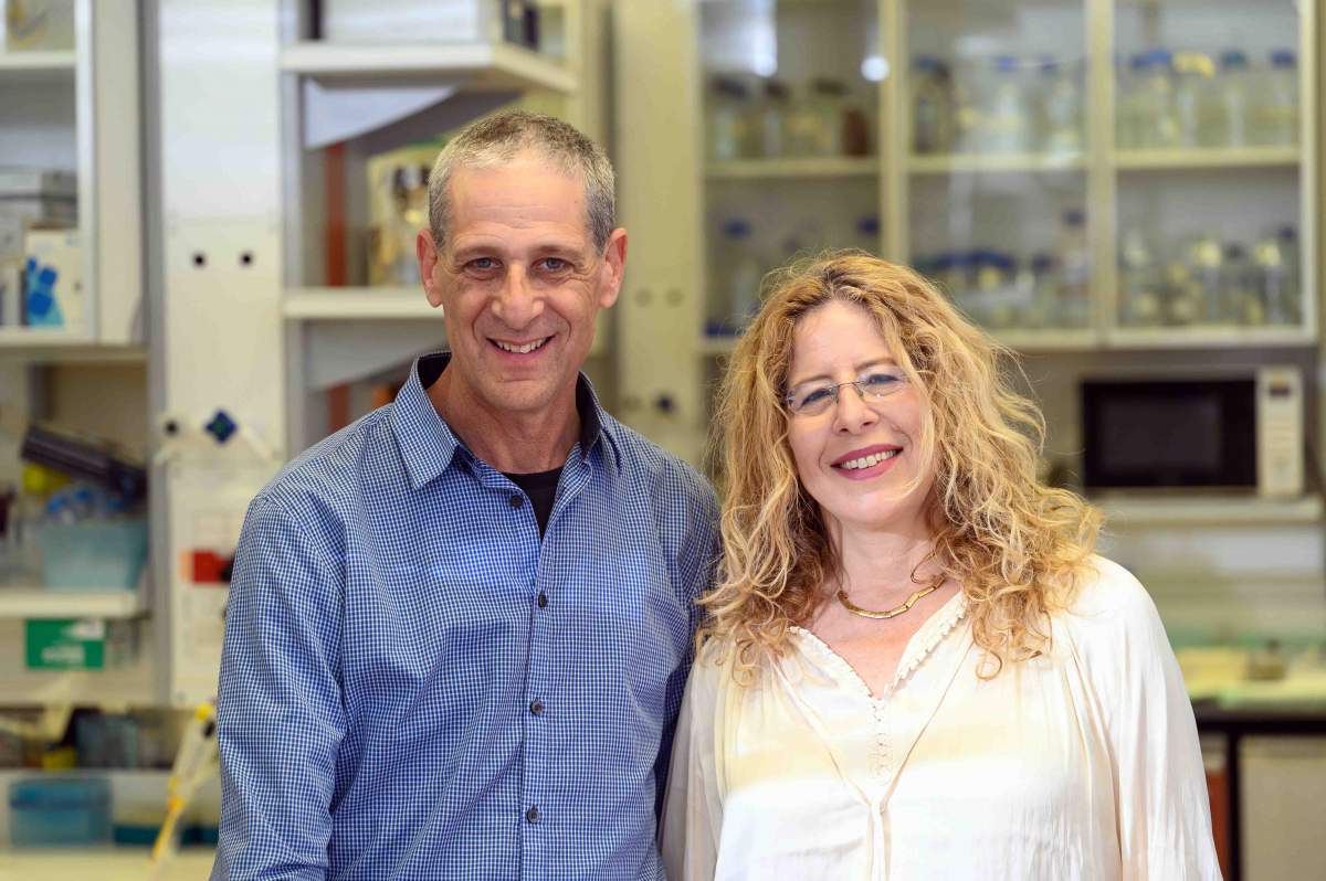 "סטודנט ביקש שנשתף פעולה עם פרופסורית במכון ויצמן ושאל אם יש לי התנגדות. עניתי לו שהיא אחותי"
