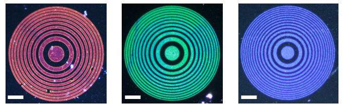 המדענים פיתחו עדשות בנות שלוש שכבות, שכל אחת מהן מכילה מתכת המותאמת למיקוד אורך גל מסוים של אור – זהב לאדום (משמאל), כסף לירוק (במרכז) ואלומיניום לכחול (מימין). קנה מידה: 35 מיקרומטר