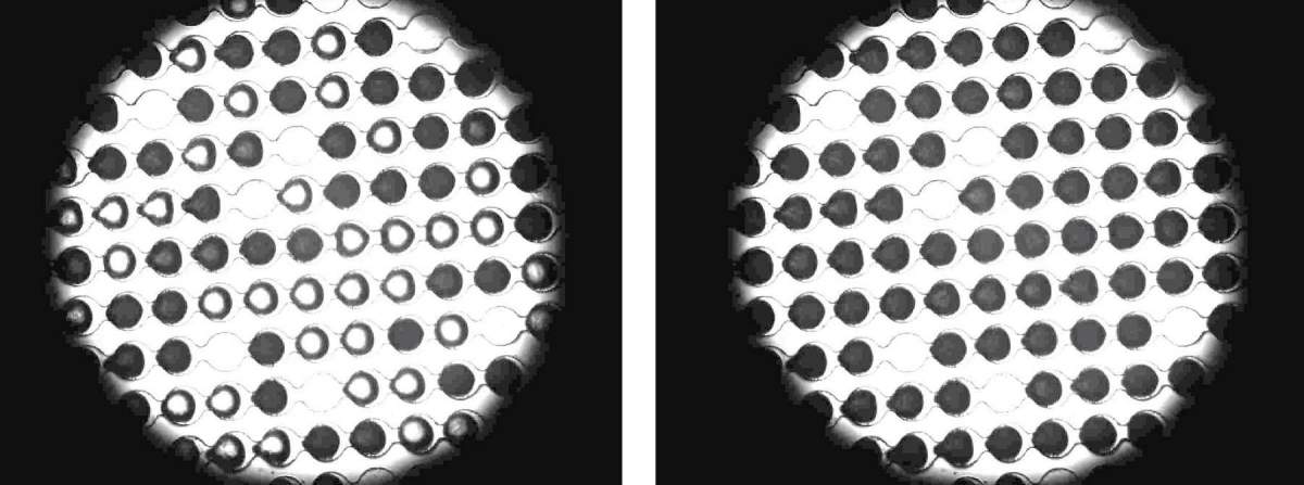 המחקר התאפשר הודות למכשיר הלוכד טיפות מים זעירות באמצעות מיקרו-מערך של שבבים. בתצלום: תמונת מיקרוסקופ של טיפות המים שנלכדו (הצבע הכהה מסמן טיפות שקפאו). מקור: אוניברסיטת בילפלד