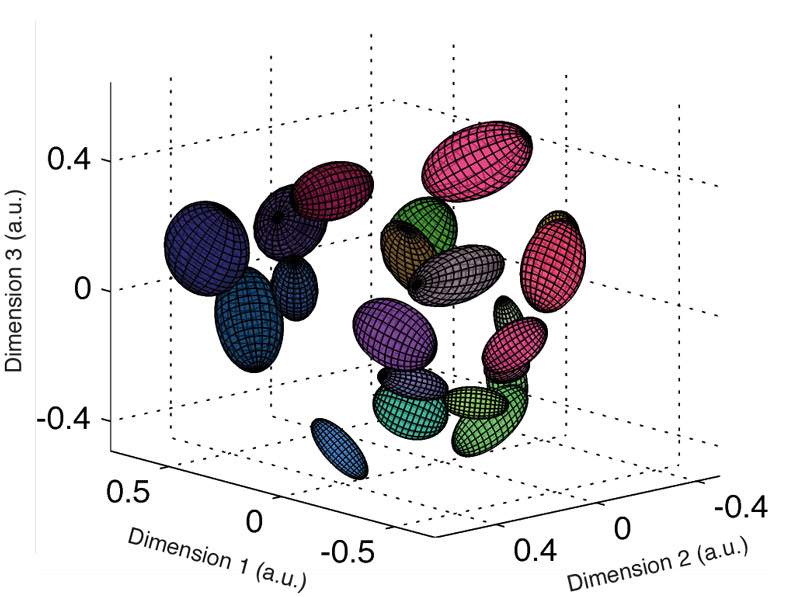 To understand the relationships between the “words” encoded in the retinal responses to film clips, the researchers analyzed and plotted them on a 3-D graph on which they attempted to preserve the relations between the words. Each balloon covers all the words that belong to the same sematic cluster. The fact that the balloons are so distinct shows the underlying “synonym” organization of neuron communication