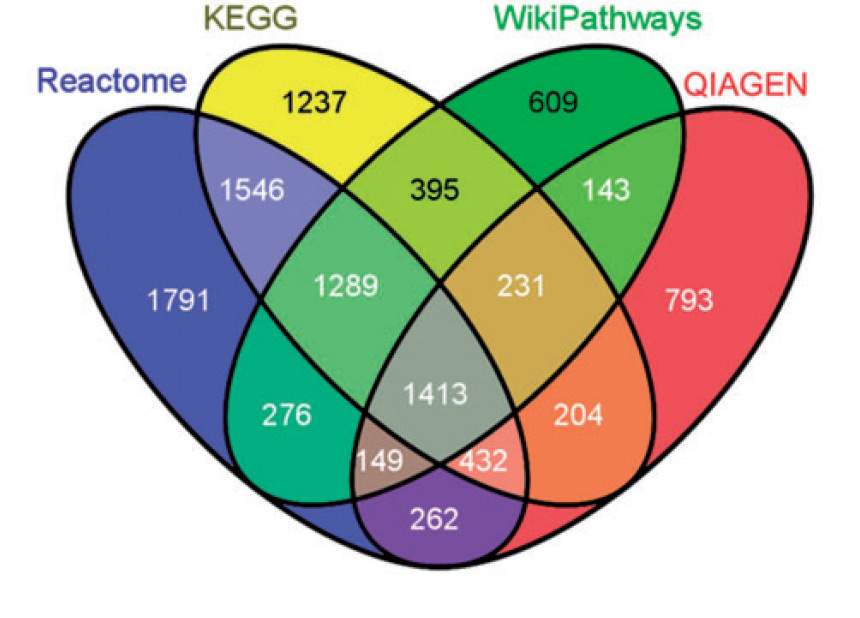 Incomplete overlap among genetic databases: For a total of 10,770 genes, only 1,413, or 13% (the area shaded in gray) are shared by all four of the largest sources of genetic pathways