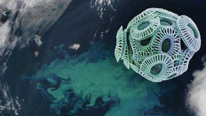 אצה חד-תאית Emiliania Huxleyi, מסוג "קוקוליתופור" (מימין למעלה, תצלום מיקרוסקופ אלקטרונים סורק באדיבות סטיב גשמייסנר), יוצרת מרבד פריחה לחופי סקנדינביה. תצלום מלוויין MODIS של נאס"א, באדיבות ז'אק דקלואטר