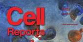 ציור של ד"ר ריטה גרין-ליכט, המתאר תאי שמרים מזדווגים באמצעות שלוחות, שהתפרסם על שער כתב-העת המדעי Cell Reports