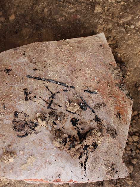 A charred basket pattern on a jar from the time of the 586 BCE Babylonian destruction of Jerusalem (Photo: Johanna Regev)