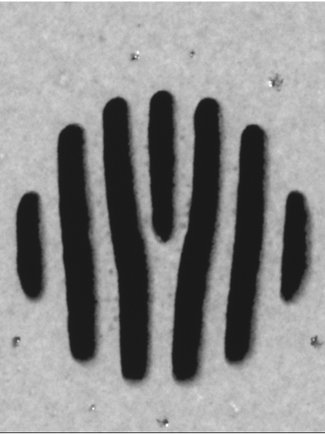 An example of a nano-grating design 