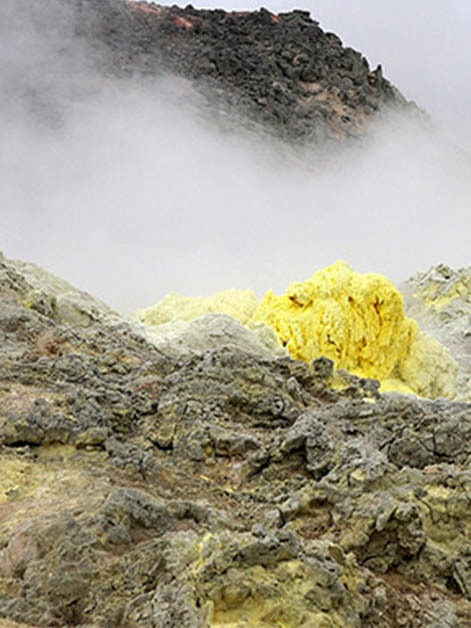 Some bacteria love the smell of sulfur in hot gases