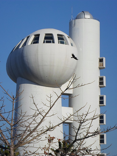 The Weizmann Institute of Science