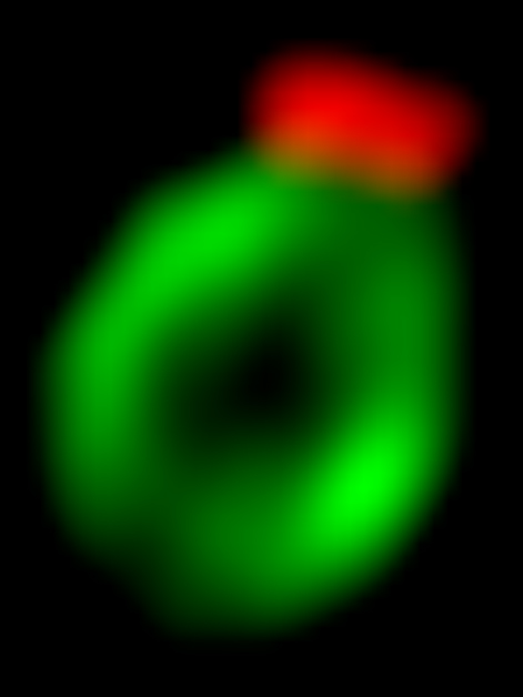 הפתח (אדום) של הפאגופור (ירוק) נשאר צר בזכות פעילותם המתואמת של שני צברי חלבונים