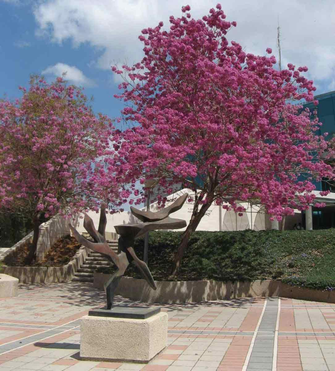 Tree of Life, Hedva Ser, 1999, and the Y. Leon Benoziyo Institute for Molecular Medicine