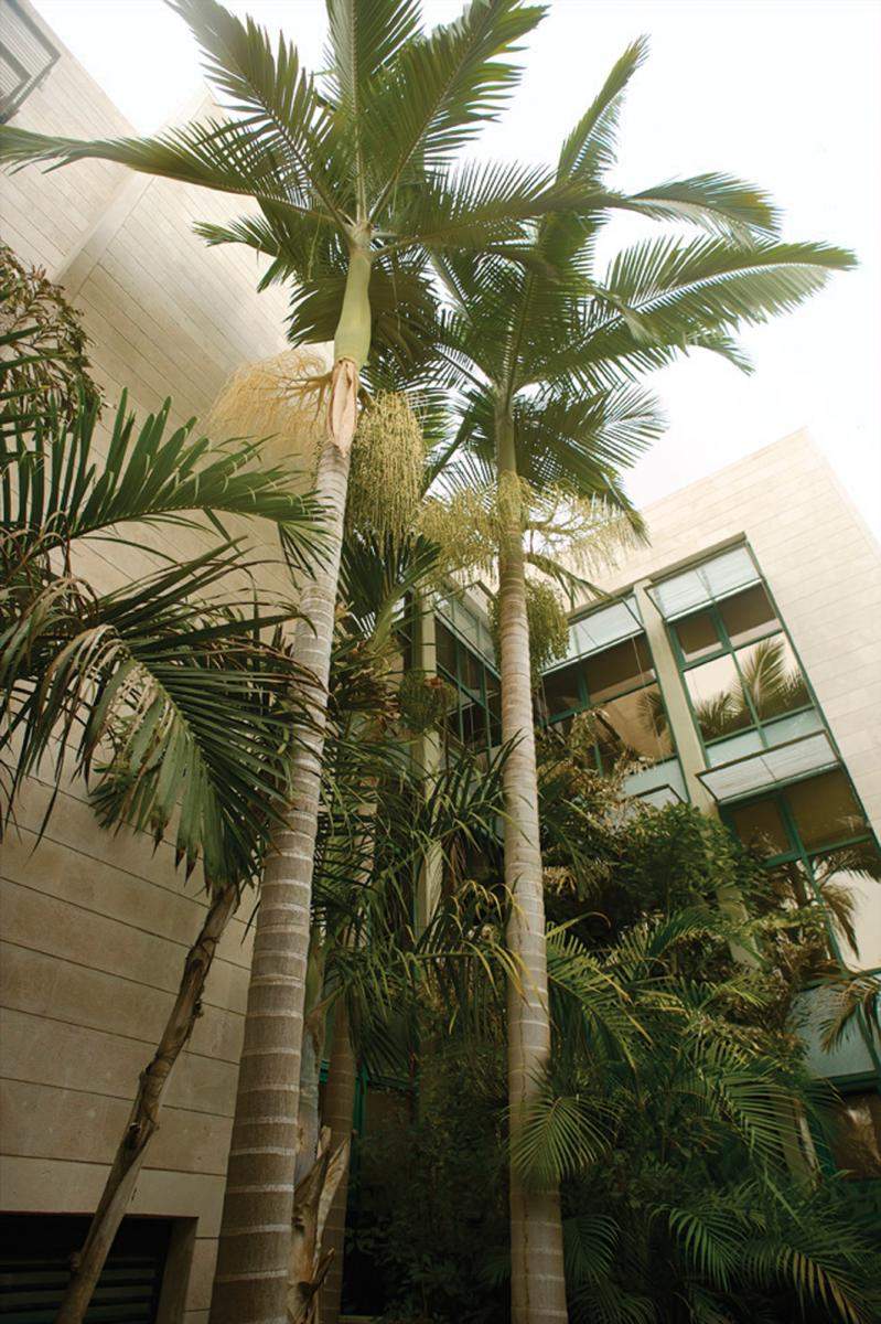בניין משפחת זוסמן למדעי הסביבה אדריכלים: רפאל לרמן, דרור סדומי (בשיתוף פרופ' עדנה שביב)