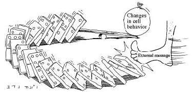 Cartoon image