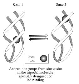 Organic switches