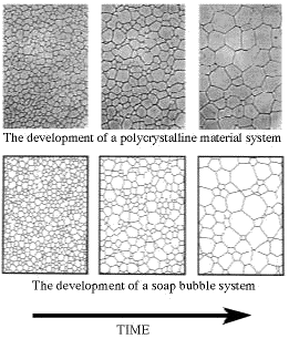 soap bubble development