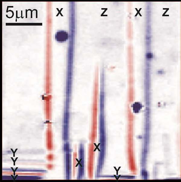 Electron movement in the interface