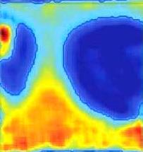 Two phases: The inner blue regions are the liquid phase and the others – the gas phase