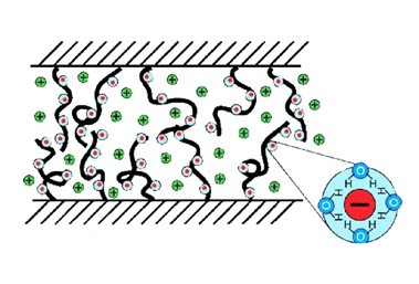 Water molecules (H20) bind tightly to charges on brushes, acting as molecular ball bearings Lubricating actions: Water molecules (H20) bind tightly to charges on brushes, acting as molecular ball bearings