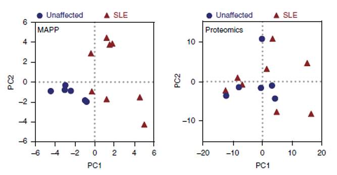 בדיקות חלבונים שגרתיות (מימין), להבדיל מבדיקת MAPP (משמאל), לא חשפו את ההבדל בין חולי זאבת (משולשים אדומים) לנבדקים בריאים (נקודות כחולות)