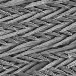 תמונות מיקרוסקופ אלקטרונים של שכבת האמייל העוטפת שיני עכבר