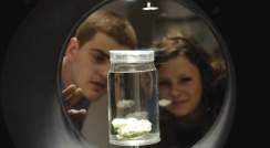 בתמונה: נוער בגן המדע מתבונן בדגם- בתערוכת "תפעילו ת'מוח"