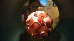 בתמונה: מבקרת בתערוכת "אימג'ינרי" המוצגת בגן המדע על-שם קלור, מתבוננת בדגם של גוף הקרוי גירואיד