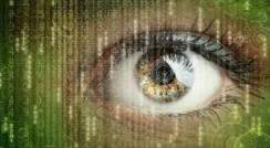 מערכת הראייה מזהה עצמים הודות ליכולתה ללמוד "יחידות זיהוי אטומיות"