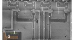 תצלום במיקרוסקופ אלקטרונים סורק של מעגל לוגי המבוסס על 14 ננו-חוטים