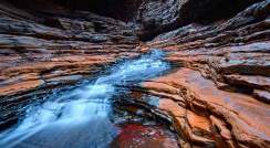 Shutterstock