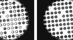 המחקר התאפשר הודות למכשיר הלוכד טיפות מים זעירות באמצעות מיקרו-מערך של שבבים. בתצלום: תמונת מיקרוסקופ של טיפות המים שנלכדו (הצבע הכהה מסמן טיפות שקפאו). מקור: אוניברסיטת בילפלד