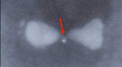 ננו-מבנה מכסף בצורת "עניבת פרפר", עם נקודה קוונטית לכודה במרכזו (חץ אדום). צולם באמצעות מיקרוסקופ אלקטרונים