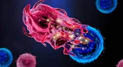 הדמיה של תקשורת בין שני תאים של המערכת החיסונית – תא T "קרבי" ותא מיאלואידי "מדכא". הניצוצות הצהובים נועדו להמחיש תהליכים תוך-תאיים הניתנים לגילוי באמצעות השיטה החדשה