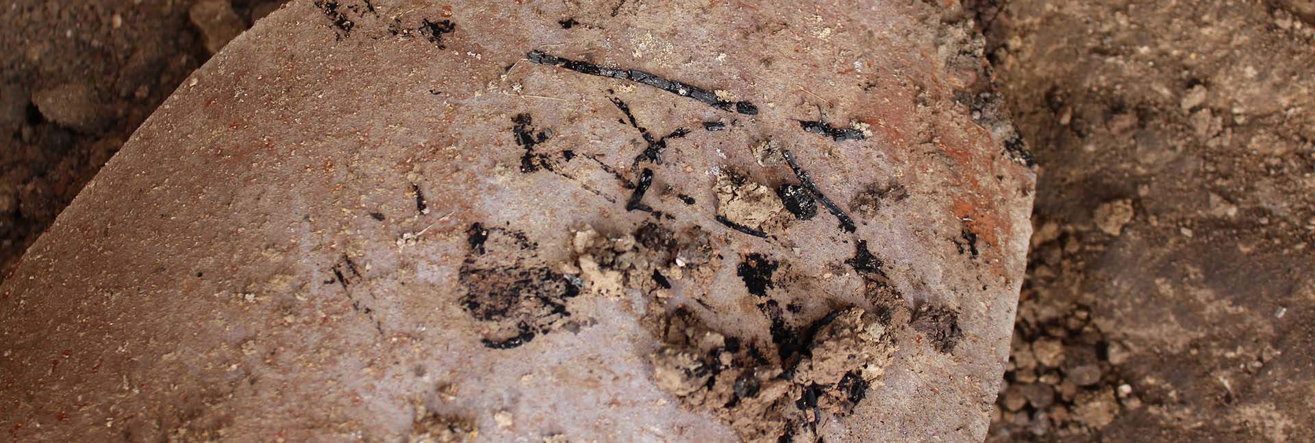 שרידי קש חרוך על כד מתקופת חורבן בית ראשון, 586 לפני הספירה (תצלום: יוהנה רגב)