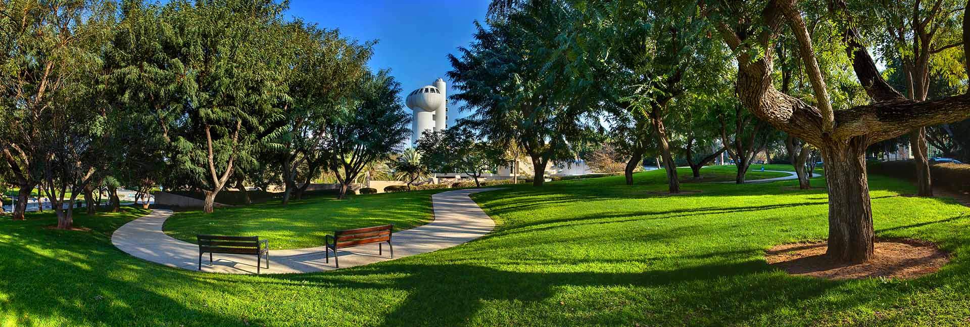 The Weizmann Institute of Science