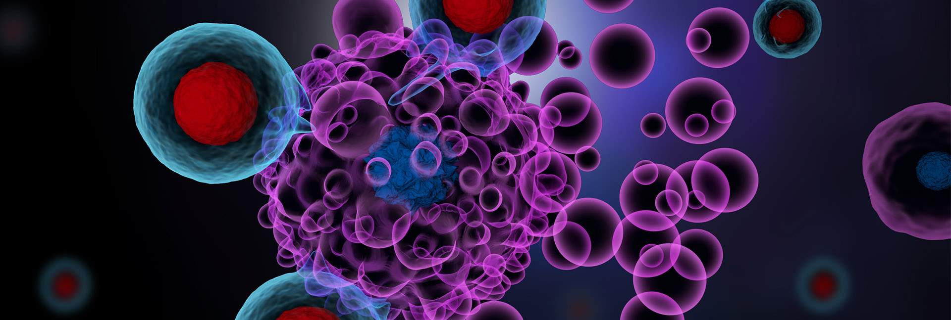 הדמיה של תאי T של המערכת החיסונית תוקפים תא סרטני. שאטרסטוק