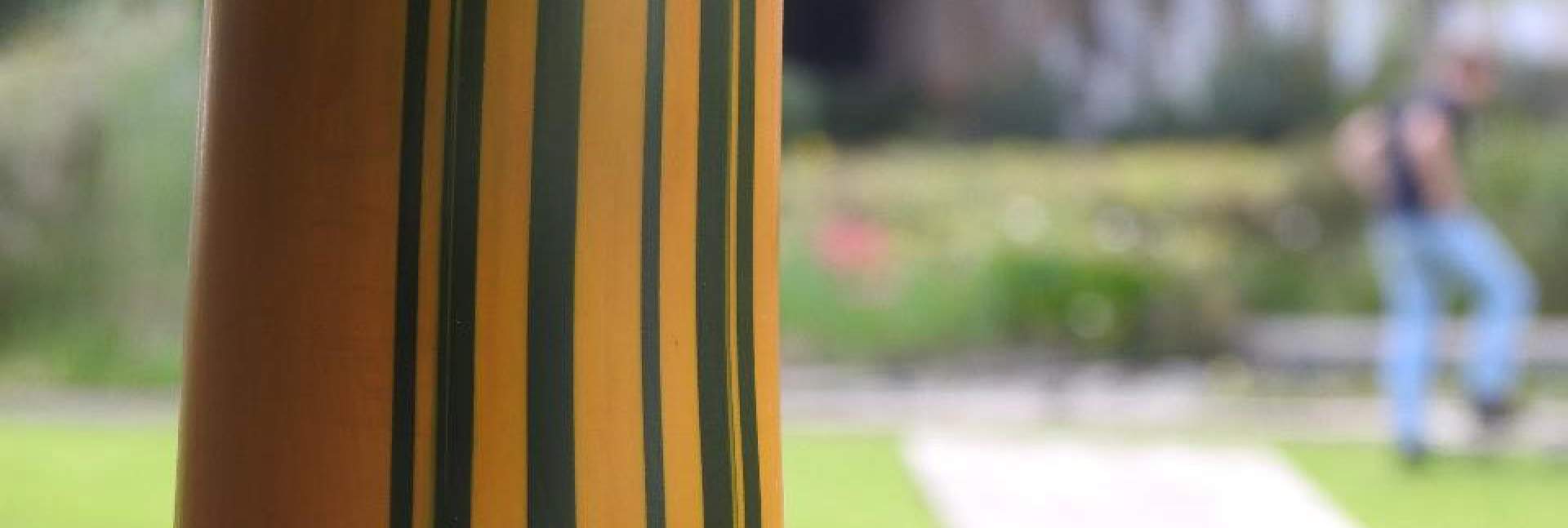 Quiz: How Well Do You Know the Weizmann Institute Campus?