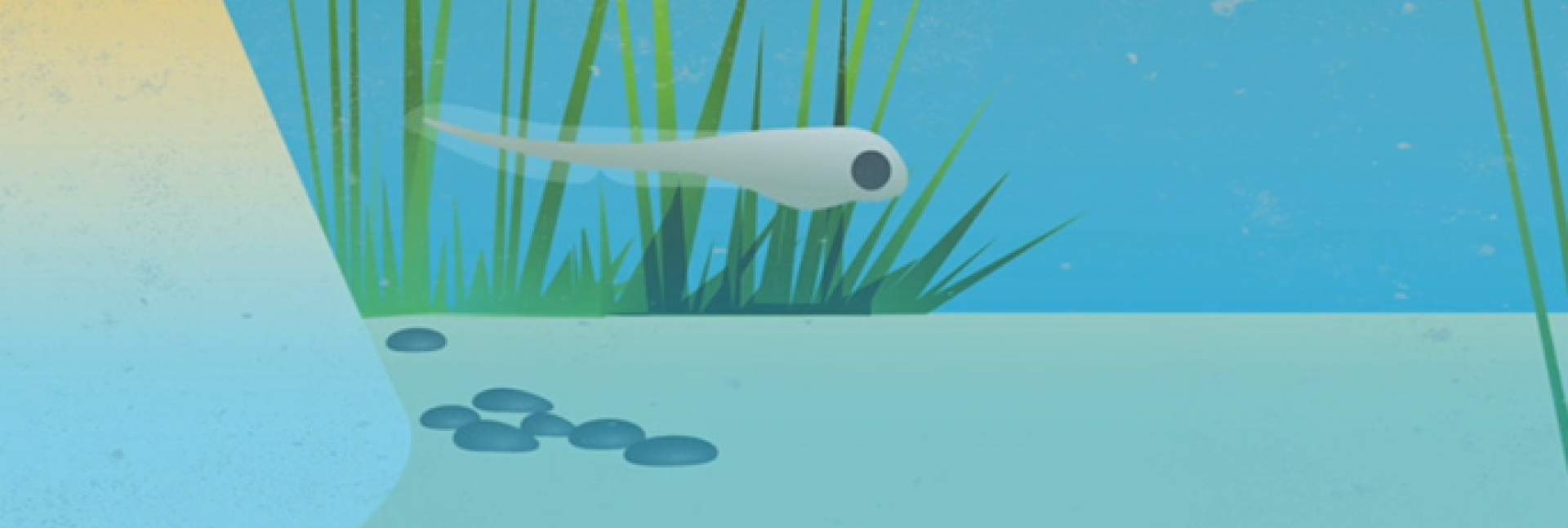 הדמיה של מערכת המציאות המדומה