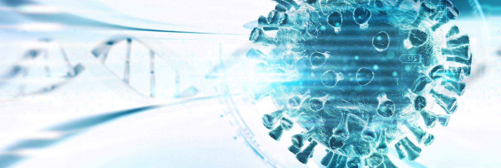 נגיף הקורונה