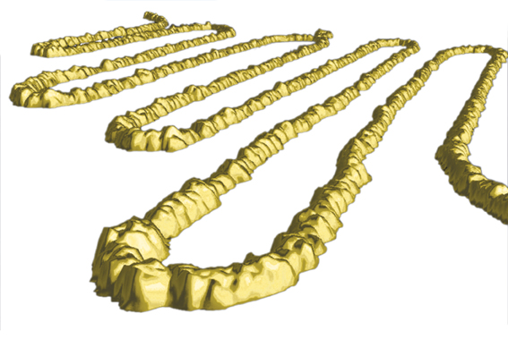 ננו-צינור פחמן עקלתוני מצופה זהב