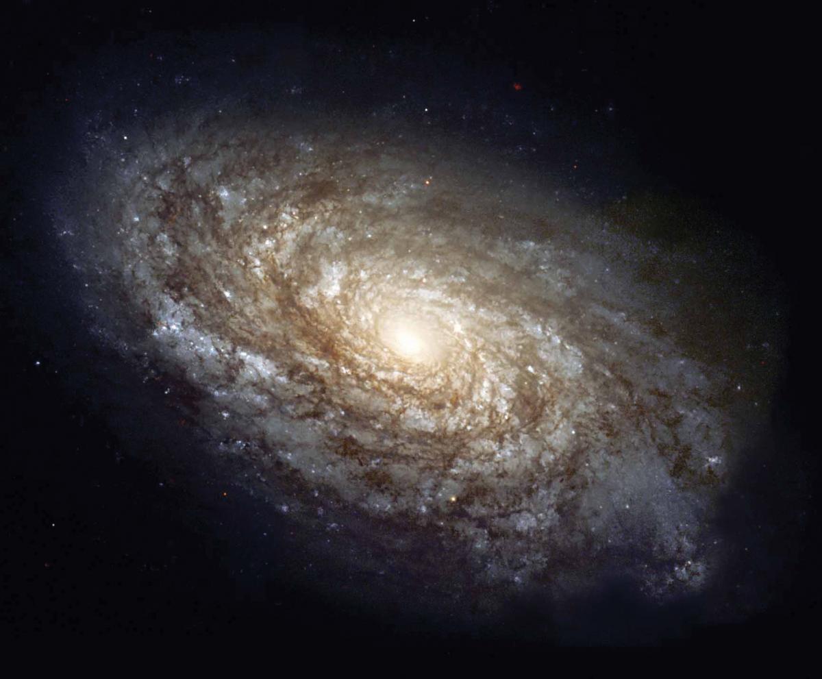 ציור 2: גלקסיית דיסקה, כמו אלו עבורן מודדים עקומות סיבוב, המספקות את הראיות החותכות ביותר התומכות ב- MOND
