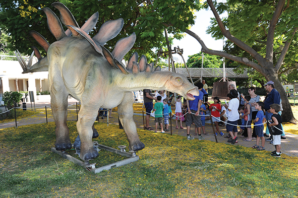דינוזאור בגודל טבעי בתערוכה