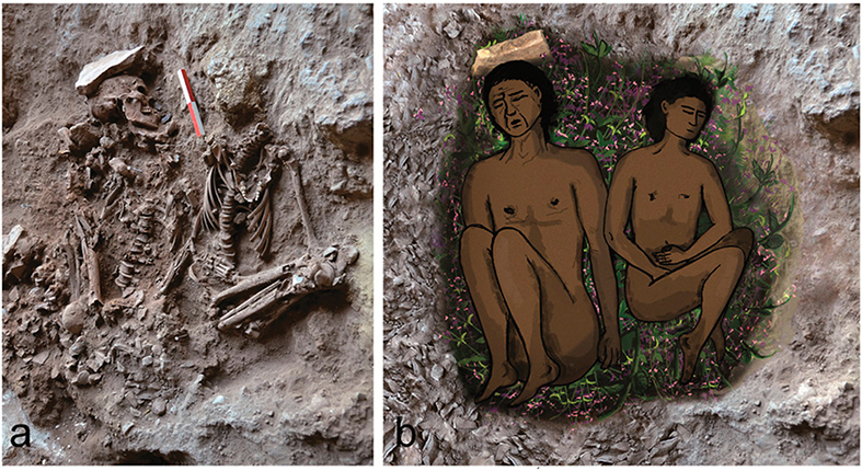 משמאל: צילום שני שלדים, של אדם בוגר (משמאל) ושל מתבגר (מימין), שנמצאו במערת רקפת. מימין: שיחזור הקבורה הכפולה על מצע של פרחים וצמחים